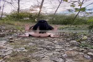 野外的流浪小母狗  背景图片