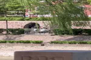 门事件 孟子像前公园长椅做爱  背景图片