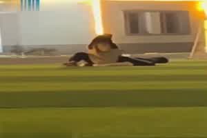 门事件 这年头年轻人超会玩 ！ ！江南第一深情 户外偷情  背景图片