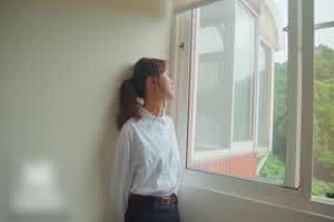 麻豆 办公室性谭  背景图片