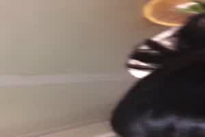 高中清纯眼镜妹口交  背景图片