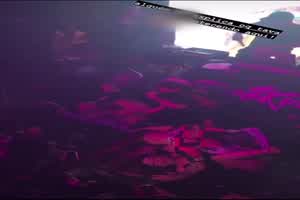 门事件 巴西女歌手超性感装束开骚 冲下台同粉丝互动竟被人扯甩T-back  背景图片