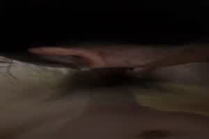 被我插完以后还是不满足看来是饥渴厉害了，到了晚上我没回家，又被我操爽了，内射了两次有点力不从心的  背景图片