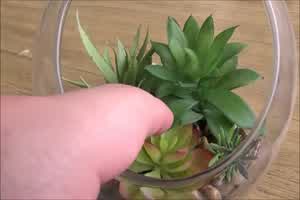 继妹住进哥哥的房间，直击哥哥的巨屌好想要  背景图片