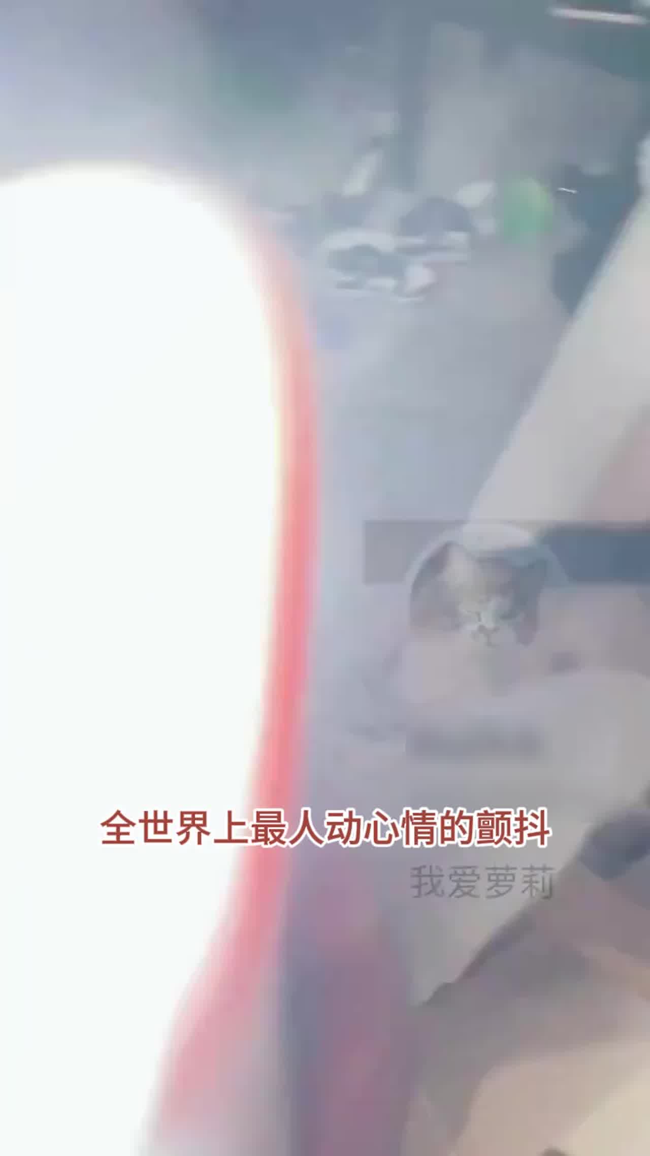  【叔叔你不可以插我，我还没有成年】差几个月成年的萝莉，08年超嗲可爱萝莉最后一弹，主人内射操趴到再地 的剧照3