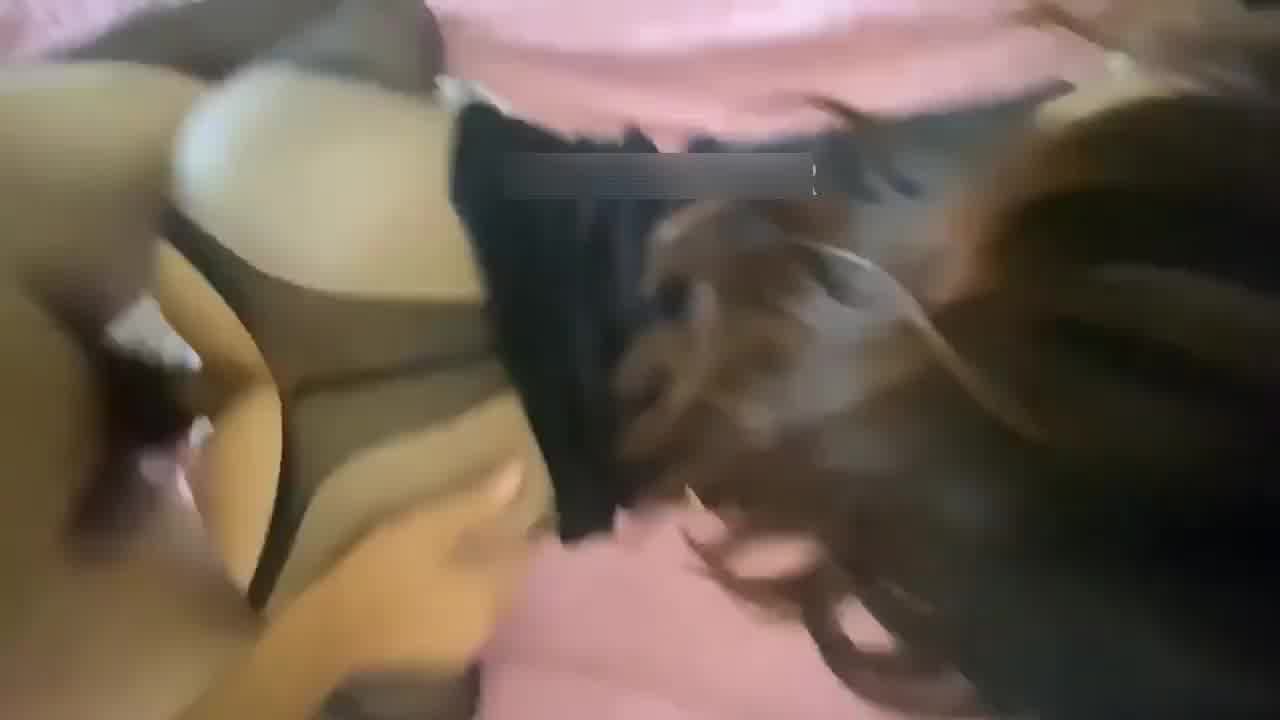  “痉挛女穴女主受不了，淫语对白插到发痛，内射中出 的剧照2