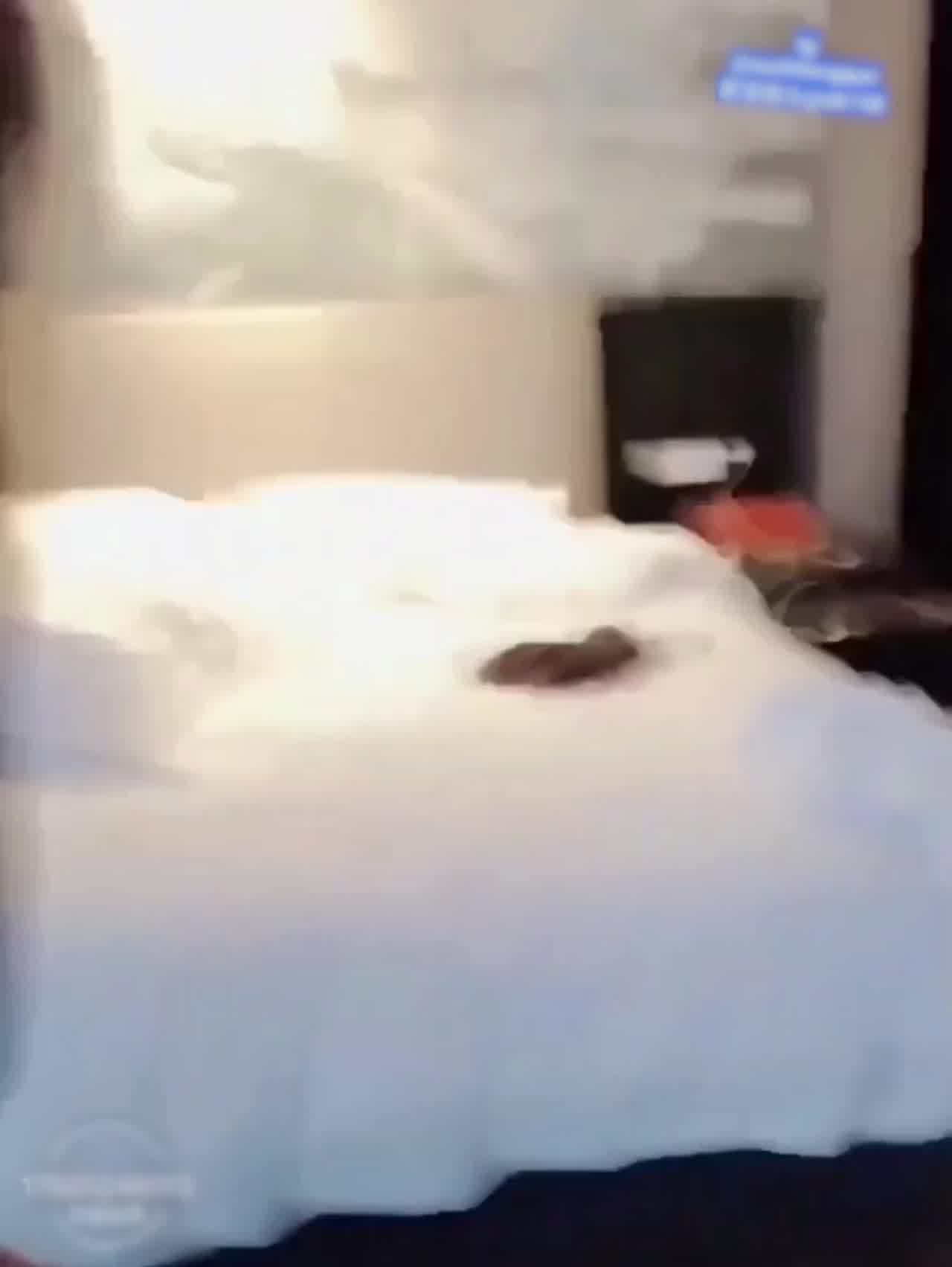  可恶！被蜘蛛女的魔术欺骗 的剧照4