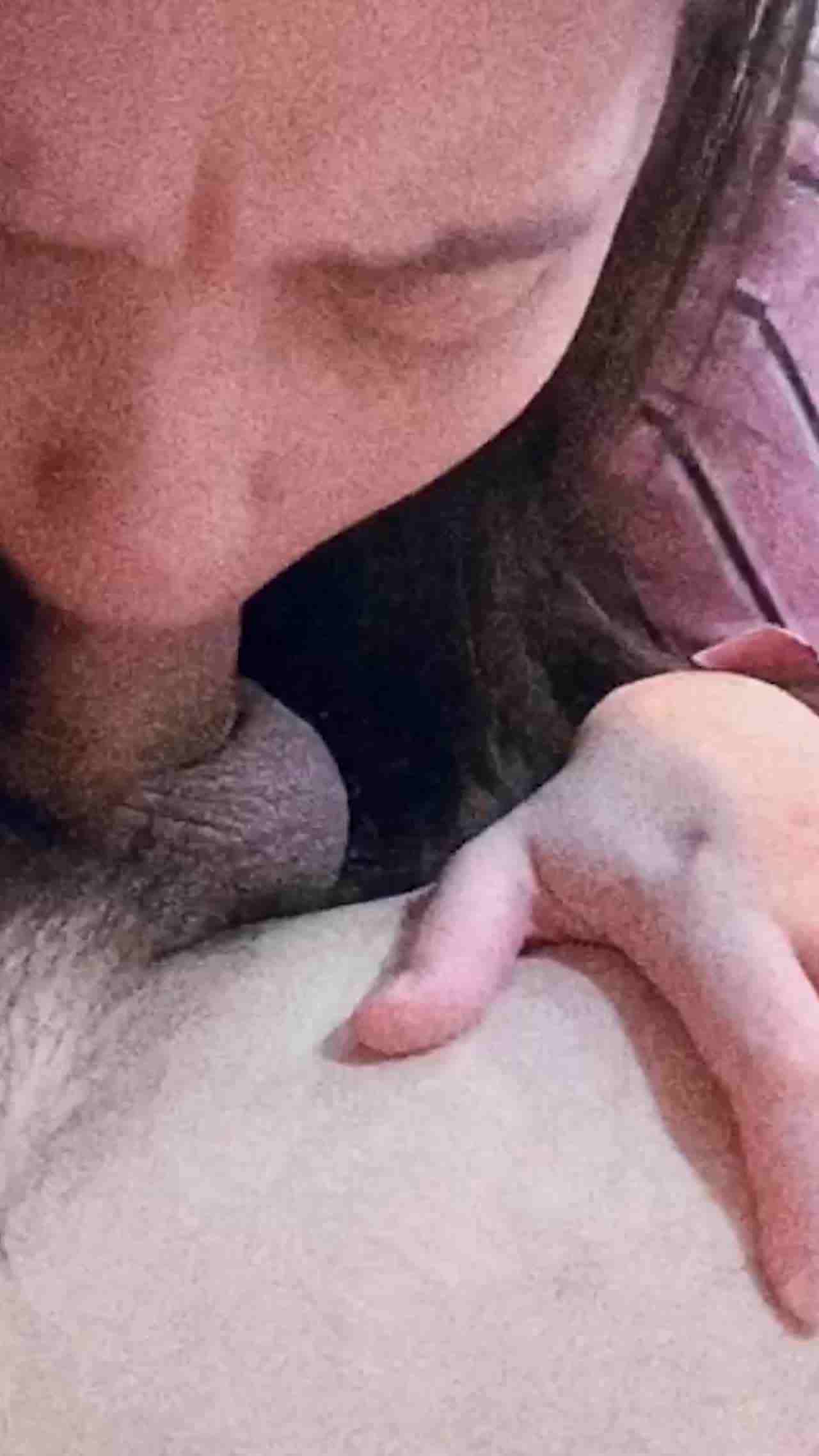  骚屄诱惑学妹好色 的剧照4