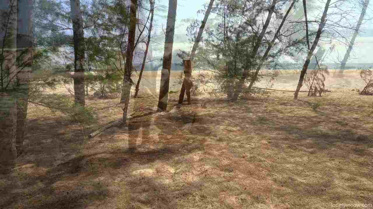  网红lonelymeow 的海边性爱 的剧照1