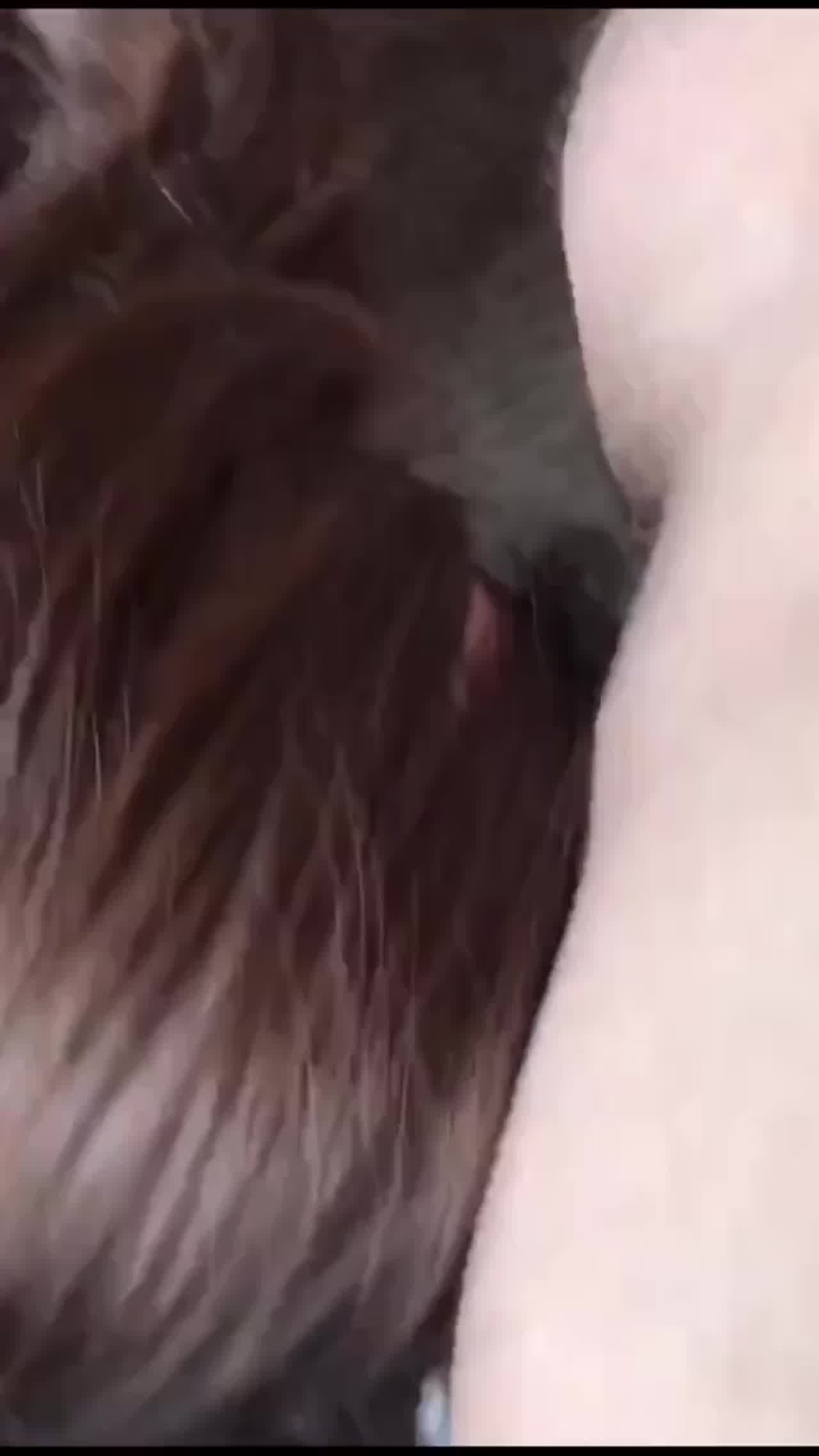  这就是你们向往的生活 的剧照7