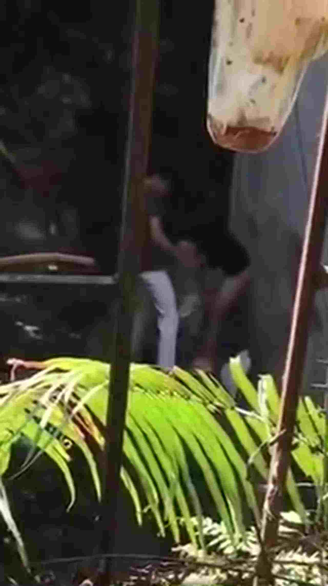  【窗外偷窥】楼下小夫妻吵架吵着吵着直接把衣服脱光了开炮 的剧照10