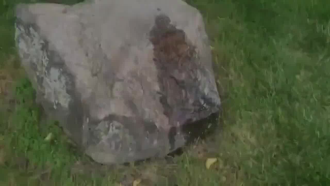  啧啧啧，随地大小便，关键内裤还没脱就尿了 的剧照5