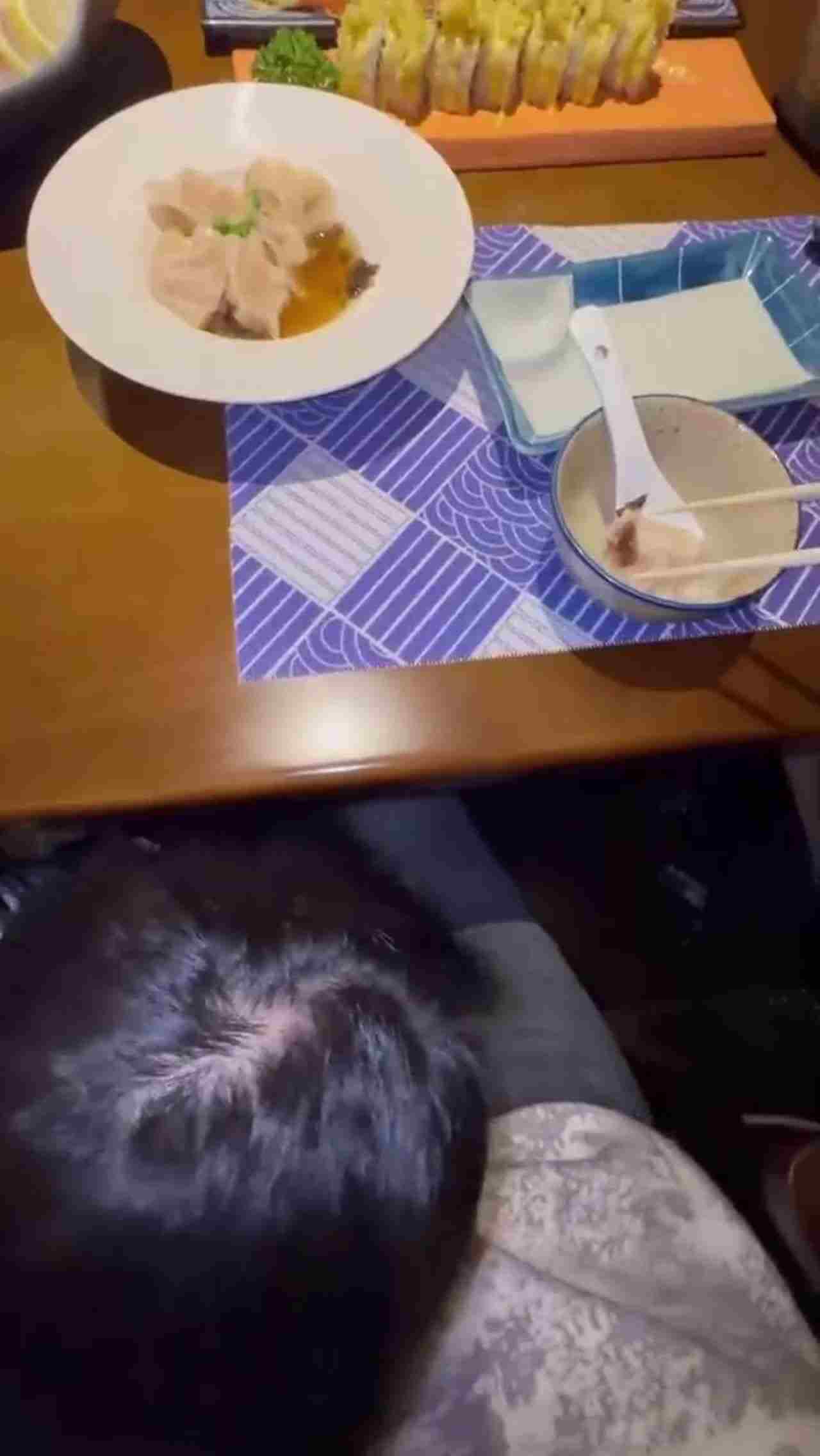  【刚要插进，服务员送菜来了】无奈野战，母狗口交弄湿骚穴，淫水随着抽插顺尿道流出，深射精子都被子宫吃掉 的剧照5