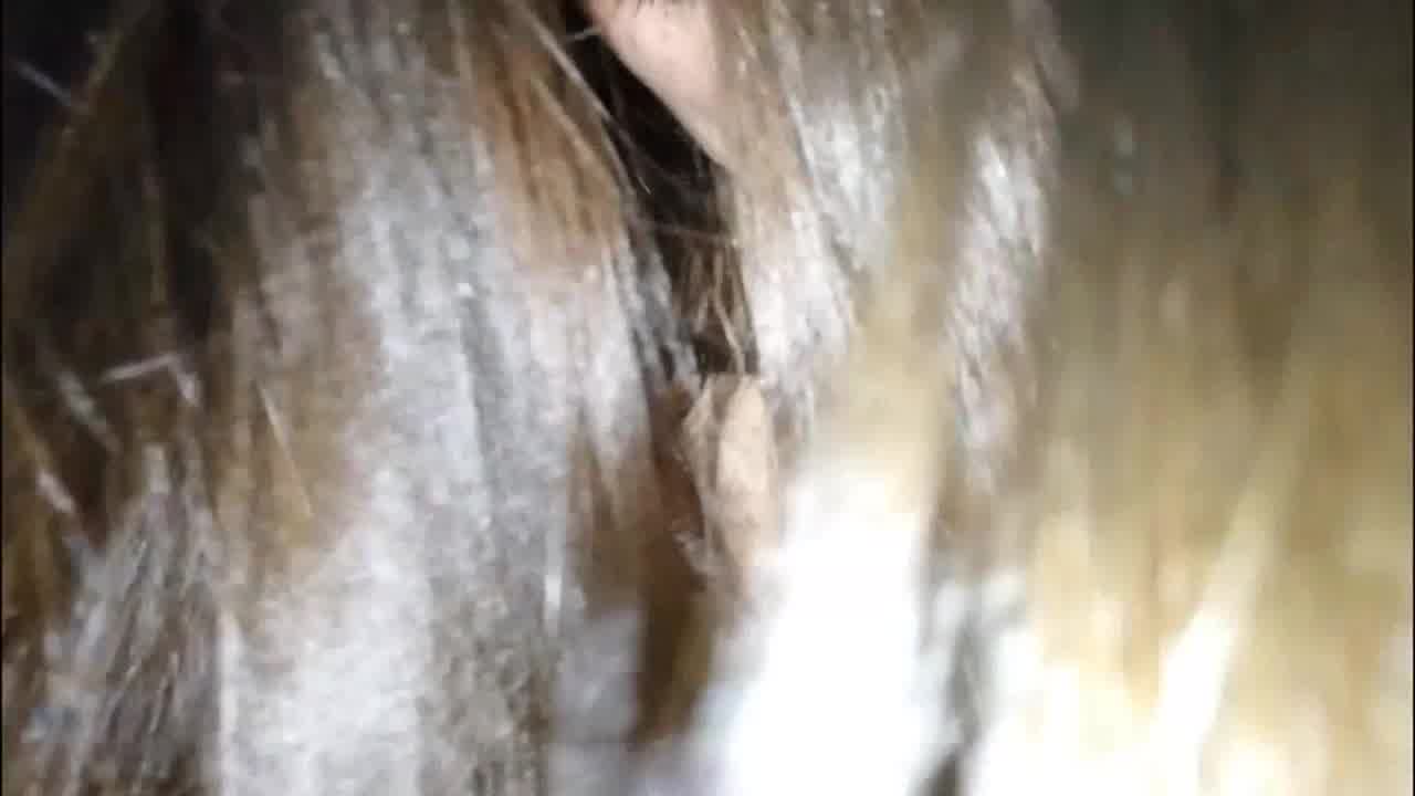  一米六八的大长腿少妇，卖力约炮口交 的剧照6