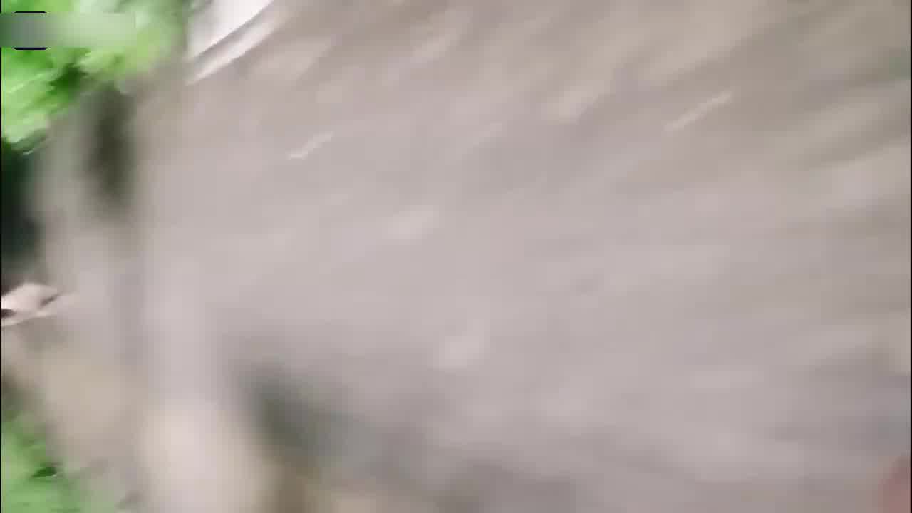  【真实路边勾引】小哥哥你裤子鼓起来了！女主在直播小哥还不相信说：直播你会漏奶子？以为是鸡问多少钱一次 的剧照7