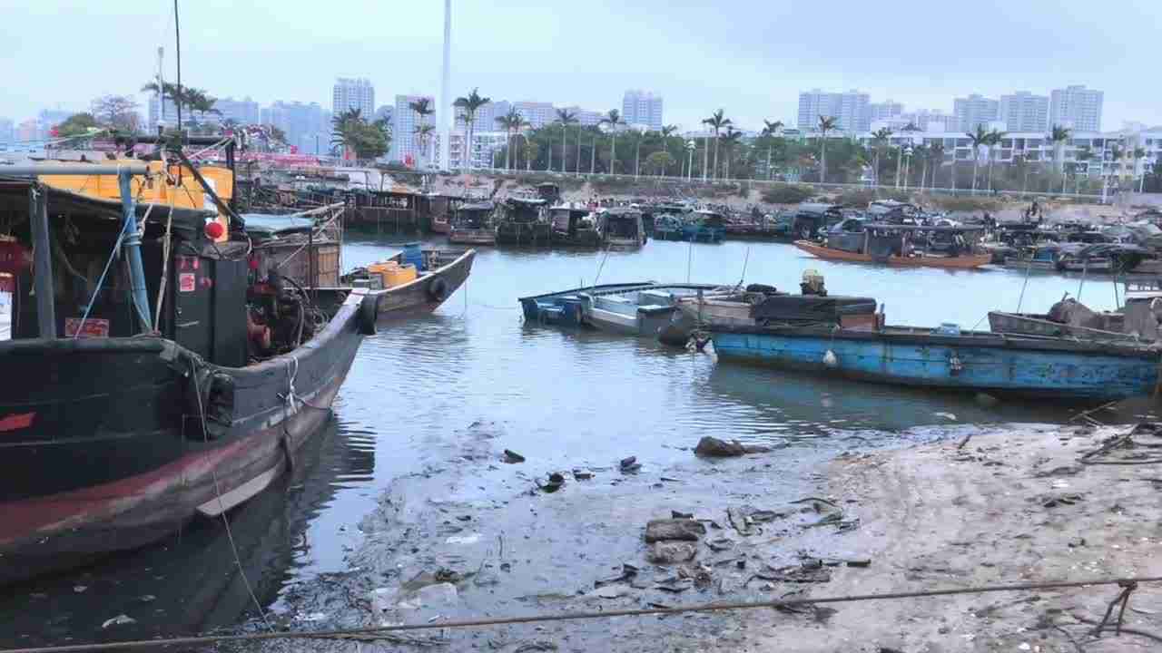  中国超高颜值美少女qinweiyingjie 户外港口露出 的剧照10