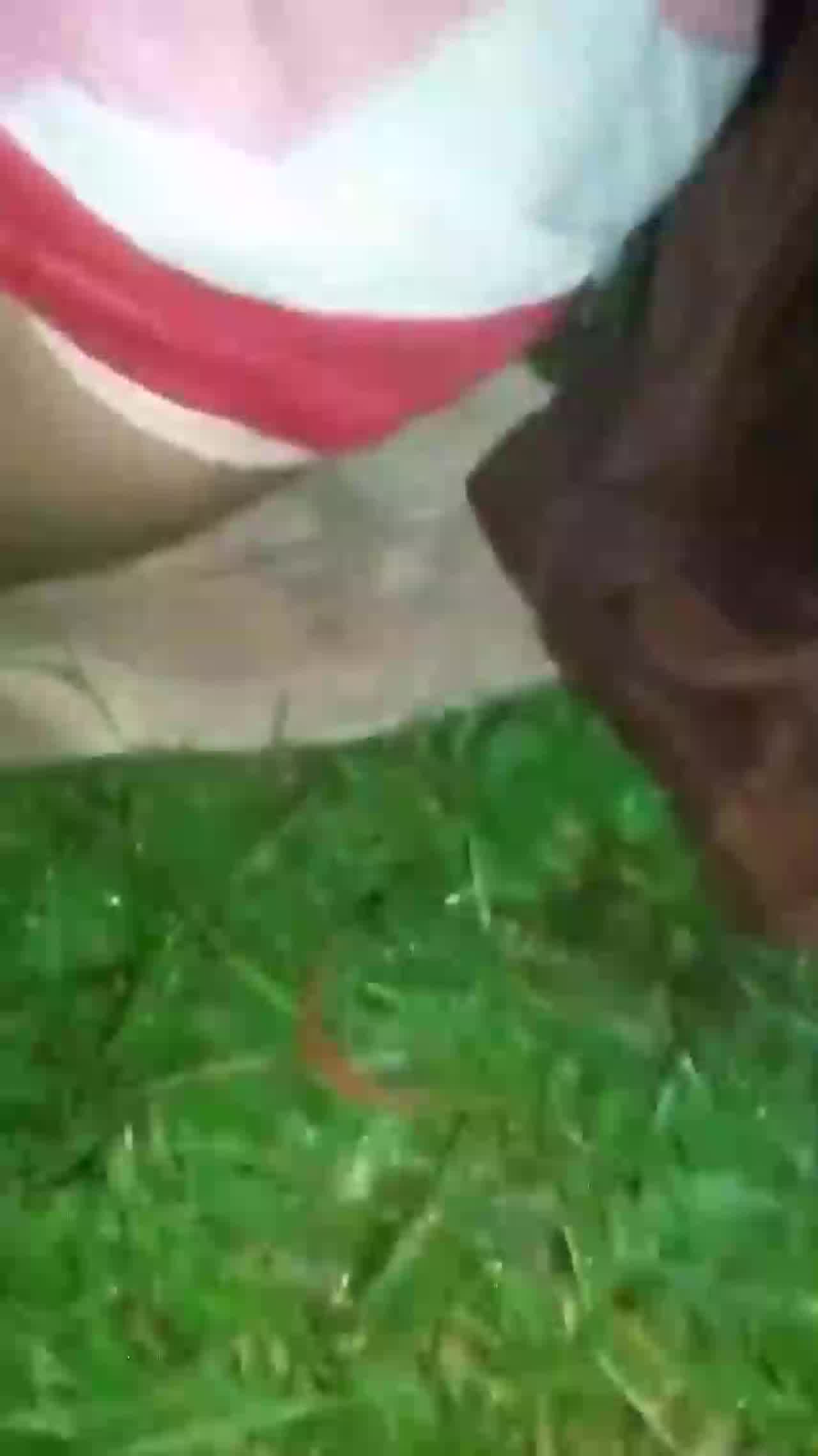  【真实强奸】请勿模仿！校园霸凌强奸+野外强奸轮奸精选！放弃反抗只盼快点射出 的剧照1